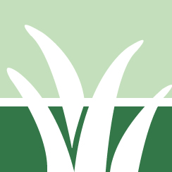 Strive Poison Ivy Removal